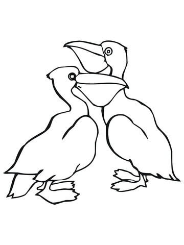 Two Pelicans Coloring Page